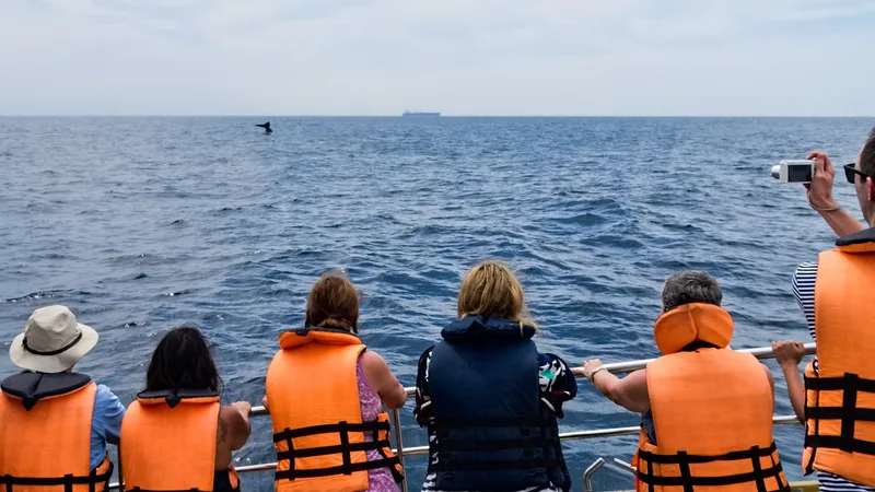 Blue Whale in natural habitat
