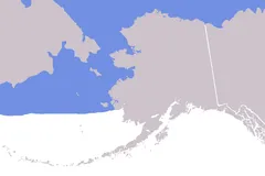 Bowhead whale in Arctic waters