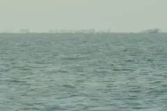 Bowhead whale in Arctic waters