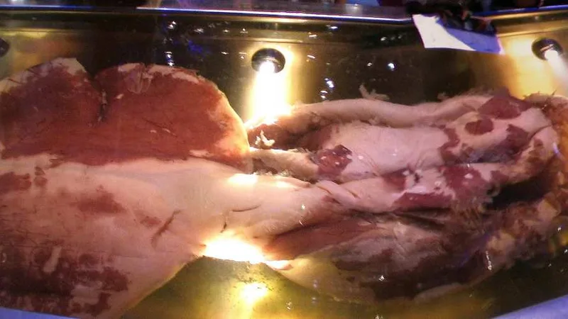 Colossal squid specimen showing mantle and tentacle spread