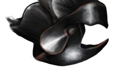 Colossal squid scissor-like beak