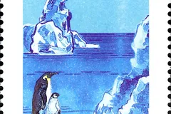 Emperor Penguin in natural habitat