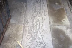 Giant Oarfish in natural habitat