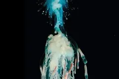 Giant Siphonophore (Apolemia sp.) photographed in wild deep-sea bathypelagic zone