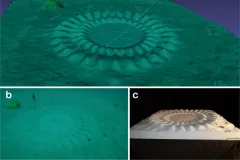 Three figure panels of a ridged sand circle on the seabed, the last a model of it