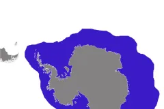 Map of the Southern Ocean with the leopard seal's range shaded blue in a ring around Antarctica