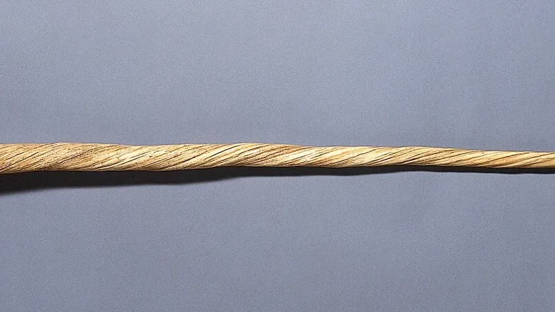 Horn of the narwhal (Monodon monoceros), or horn of the unicorn. Iconographic Collections