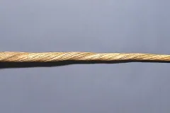 Horn of the narwhal (Monodon monoceros), or horn of the unicorn. Iconographic Collections