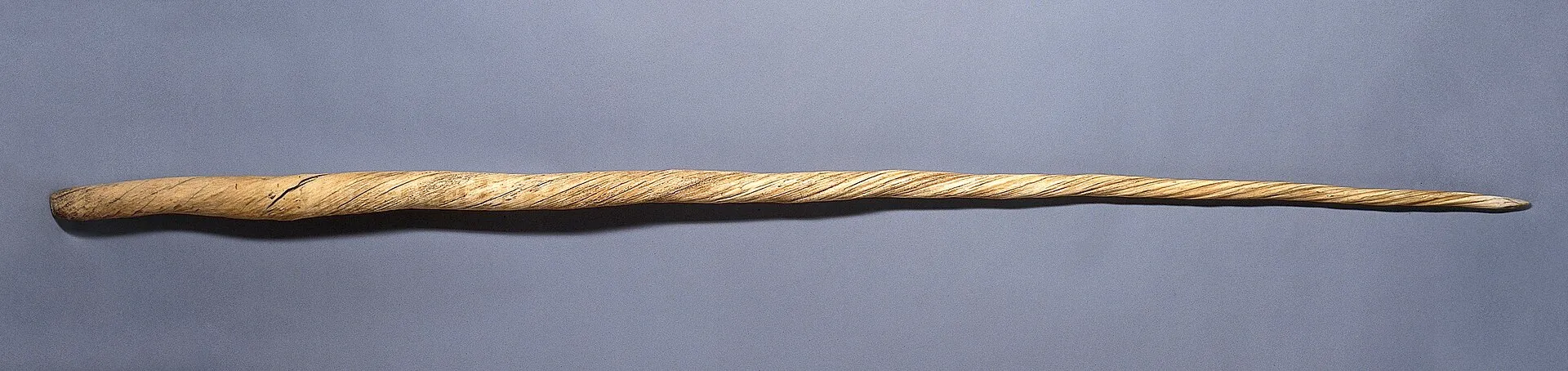 Narwhal