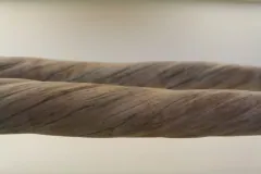 Closeup view of the narwhal (Monodon monoceros) tusks at the Natural History Museum in London, Engla