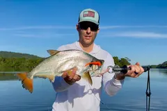 Payara (Hydrolycus scomberoides) in wild river freshwater habitat