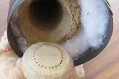 Trapdoor Spider (Ctenizidae) displaying natural behavioral traits in wild habitat