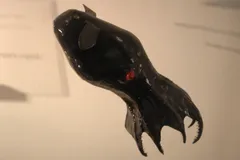 Vampire Squid in natural habitat