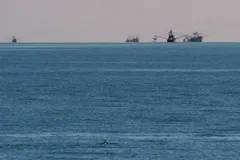 Distant vaquita at the surface with fishing boats on the horizon